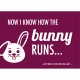 Denglish-Postcard 'Now I know how the bunny runs'